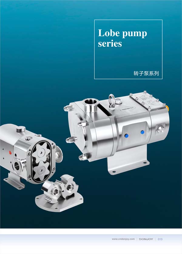 Rotor pump
