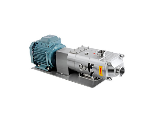 Twin screw pump with motor directly