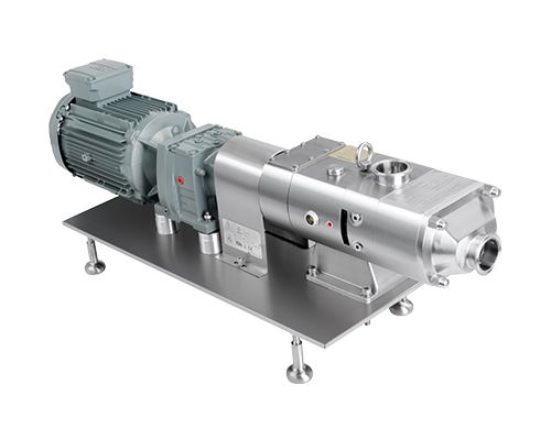 Twin screw pump with Servo motor