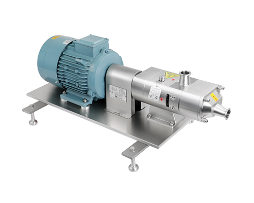 Twin screw pump with motor directly