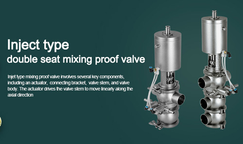 Inject type double seat mixing proof valve 